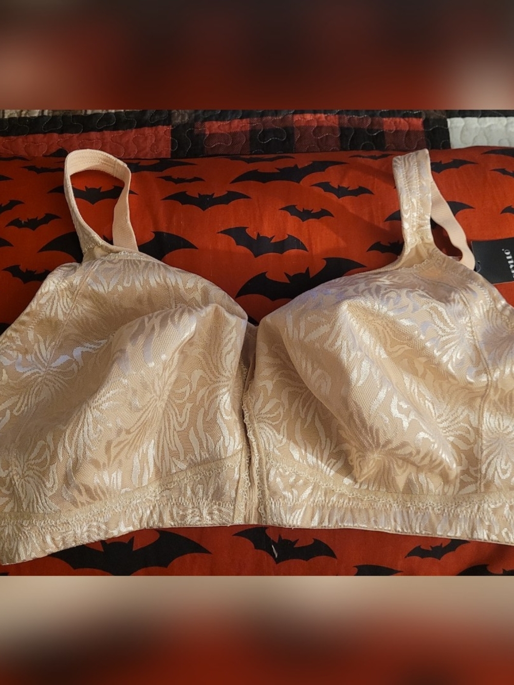 Deyllo 44 H Non Padded Bra
